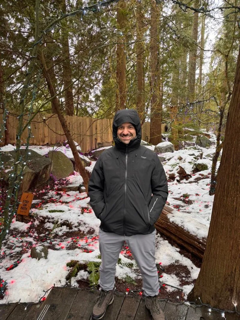 Jay in a snowy Vancouver forest